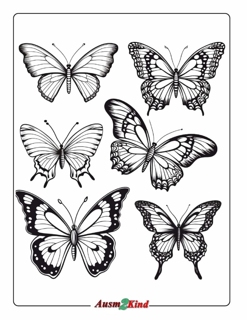 Ausmalbilder Schmetterling. 36 Stück Malvorlagen als PDF